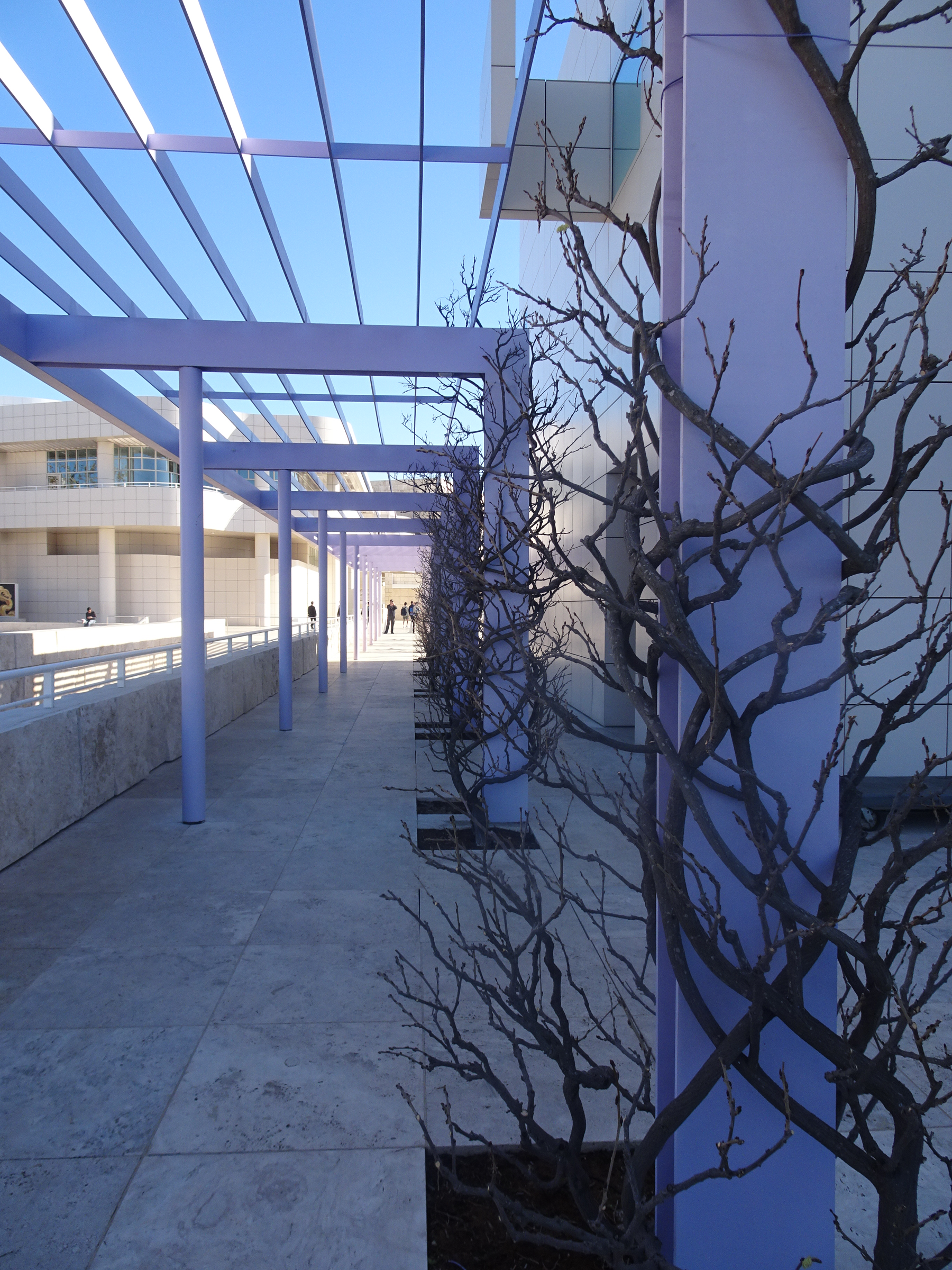 Light and shadow under the pergola. Passageway to Trust Office.